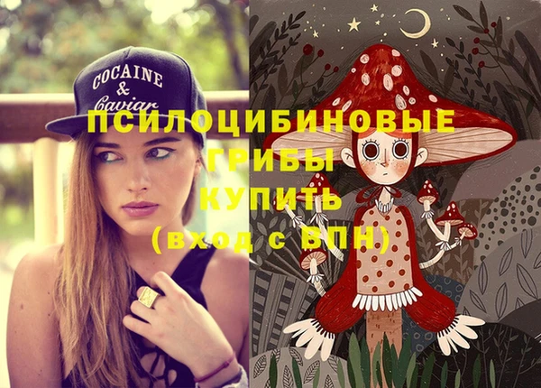 шишки Абинск