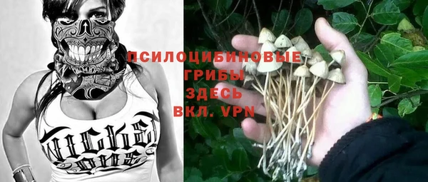 шишки Абинск